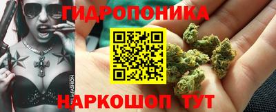 ГАЛЛЮЦИНОГЕННЫЕ ГРИБЫ Ликино-Дулёво