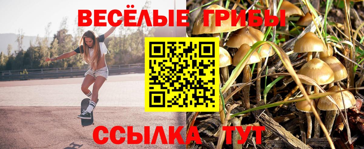 Галлюциногенные грибы Psilocybe  Вход с VPN  Псилоцибиновые грибы прущие грибы  Ульяновск 